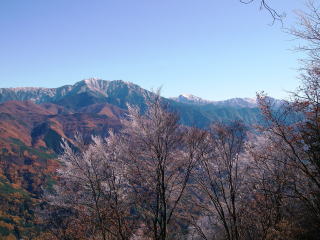 樹氷と仙丈ヶ岳