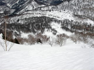 横前倉山スキー